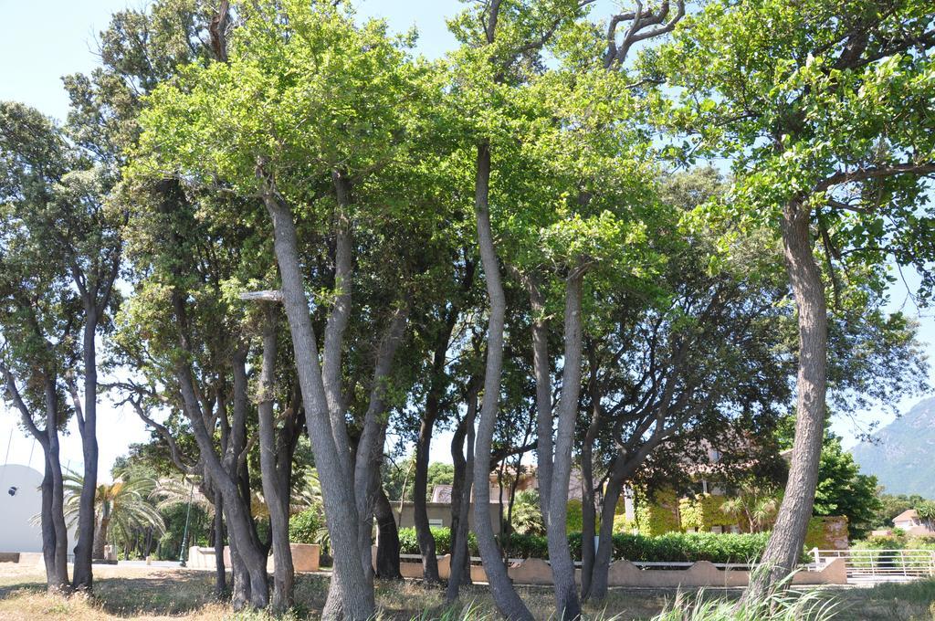 Sole E Mare Aparthotel Santa-Maria-Poggio  Εξωτερικό φωτογραφία